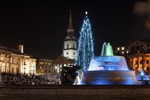 Kerstboom op Trafalgar Square in Londen
